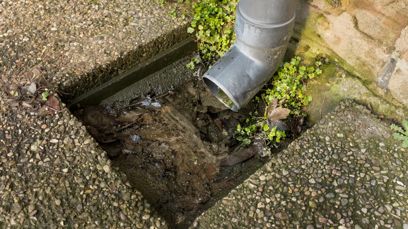 clogged drain Crewkerne
